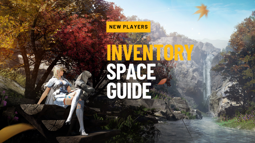 How to Increase Inventory Space